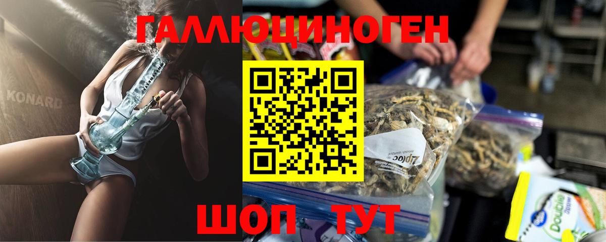 Галлюциногенные грибы Psilocybine cubensis Серпухов